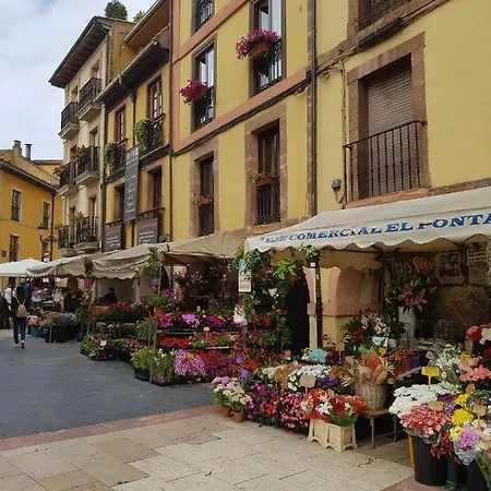Appartamento Arco 4 Fontan Loft Oviedo